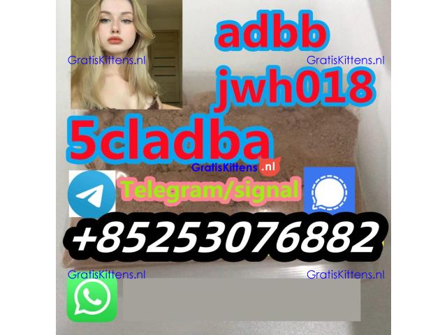 reliable reputation 4cladb 5cladb adbb sgt78 3mmc 2cp appp