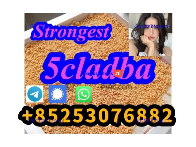 5cl 5fadb 5cladba adbb euty 4cmc 2cp safe and fast delivery