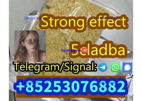 5cladb 5cladbb adbb 4cladb 6cl euty sgt78 jwh BEST POWDER