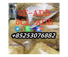 5cladb 5cladbb adbb 4cladb 6cl euty sgt78 jwh BEST POWDER