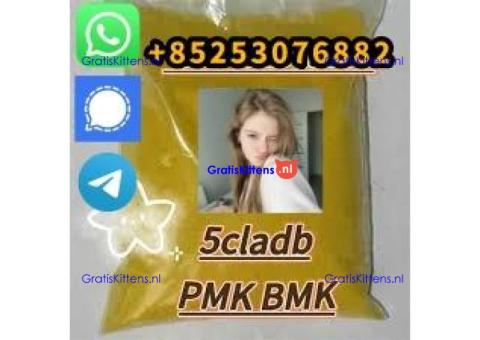 4cladb 5cladba adbb euty sgt78 appp SUPPLEMENTARY