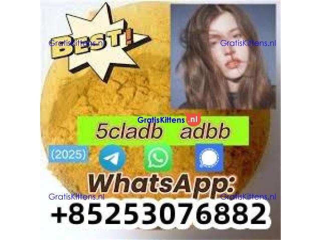 4cladb 5cladba adbb euty sgt78 appp SUPPLEMENTARY
