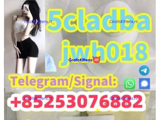 4cladb reliable reputation 5cladba 6cladb adbb euty bmk appp