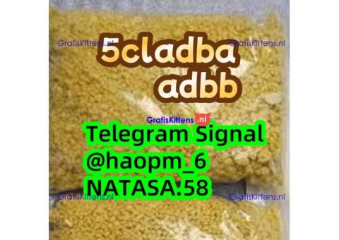 High - quality 5cladba and Adbb