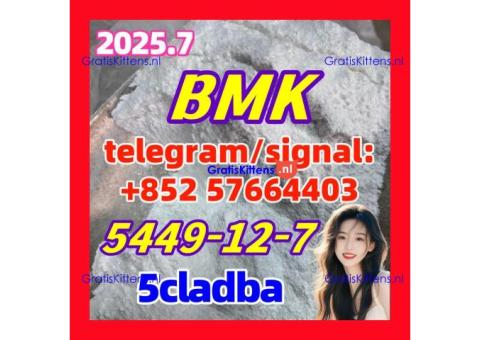 Bmk Fast Delivery High Purity Bmk Powder Cas 5449-12-7 2-methyl-3-phenyloxirane-2-carboxylic