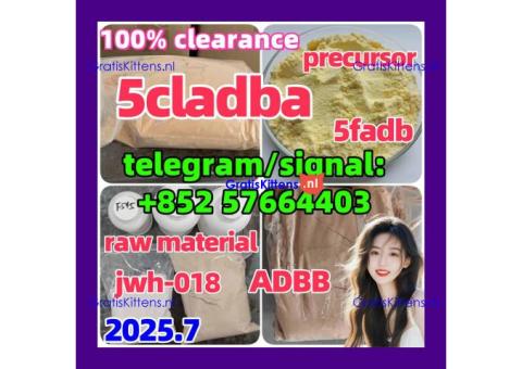5cladba precursor adbb powder 5fadb raw material supply