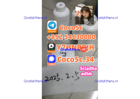 5cladba raw material 5CL-ADB-A precursor raw 5cladba 5f adb 4fadb
