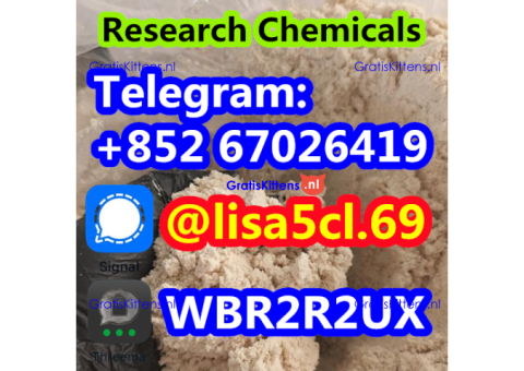 Protonitazene CAS 119276-01-6