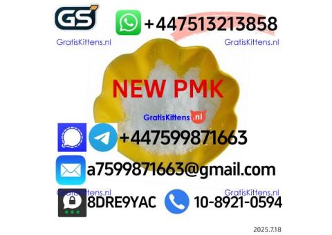 Bmk/pmk powder,1451-82-7,49851-31-2,5449-12-7,Supplying high purity