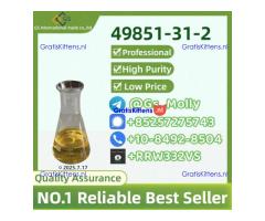 High-Quality PMK Glycidate | CAS 28578-16-7 | Bulk Supplier for Research