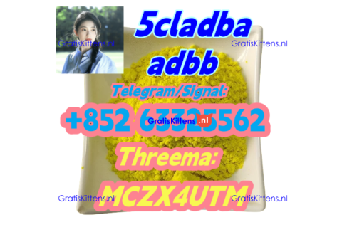 5cladba raw material 5CL-ADB-A precursor raw 5cladba 5f adb 4fadb