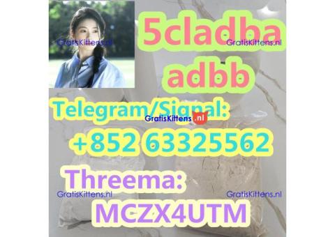 5CL-ADB supplier 5cladba 5cladb vendor on sale