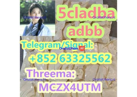 5cladba 5cladb vendor on sale 5CL-ADB-a China supplier