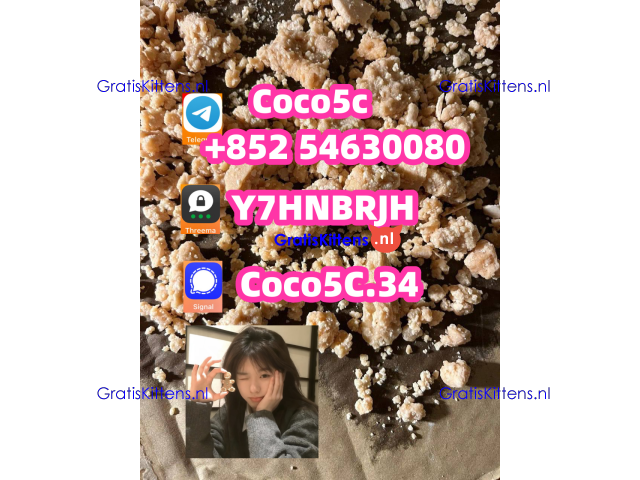 5cladba raw material 5CL-ADB-A precursor raw 5cladba