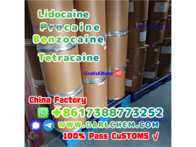 Lidocaine Benzocaine Procaine raw Powder 137-58-6 Top Quality