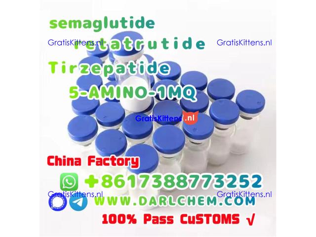 Semaglutide 5-AMINO-1MQ Retatrutide 910463-68-2  Top Quality