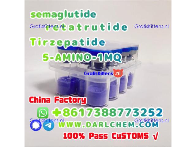 Semaglutide 5-AMINO-1MQ Retatrutide 910463-68-2  Top Quality