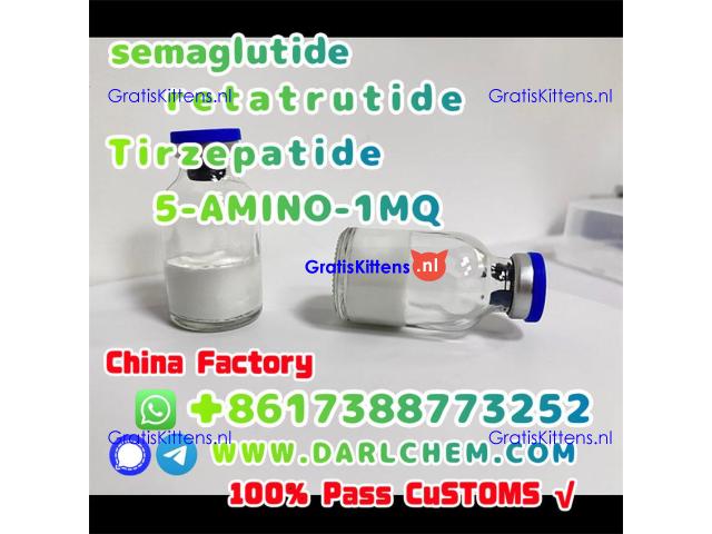 Semaglutide 5-AMINO-1MQ Retatrutide 910463-68-2  Top Quality