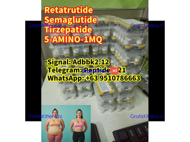 Buy Semaglutide Retatrutide weight loss ozempic peptide Tirzepatide 5-AMINO-1MQ Wegovy