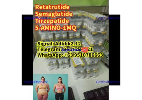 Buy Semaglutide Retatrutide weight loss ozempic peptide Tirzepatide 5-AMINO-1MQ Wegovy