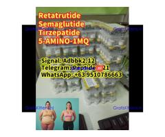 Buy Semaglutide Retatrutide weight loss ozempic peptide Tirzepatide 5-AMINO-1MQ Wegovy