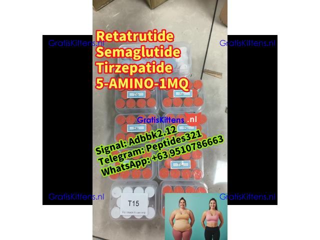 Buy Semaglutide Retatrutide weight loss ozempic peptide Tirzepatide 5-AMINO-1MQ Wegovy