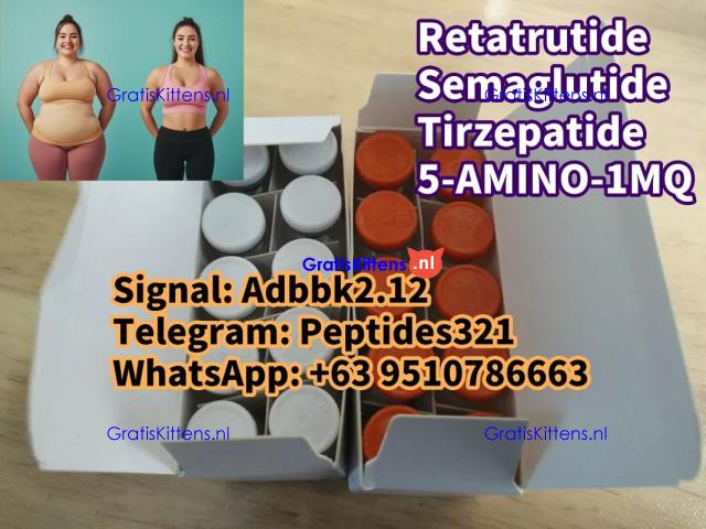 Buy Semaglutide Retatrutide weight loss ozempic peptide Tirzepatide 5-AMINO-1MQ Wegovy