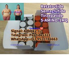 Buy Semaglutide Retatrutide weight loss ozempic peptide Tirzepatide 5-AMINO-1MQ Wegovy