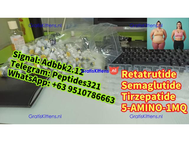 Buy Semaglutide Retatrutide weight loss ozempic peptide Tirzepatide 5-AMINO-1MQ Wegovy