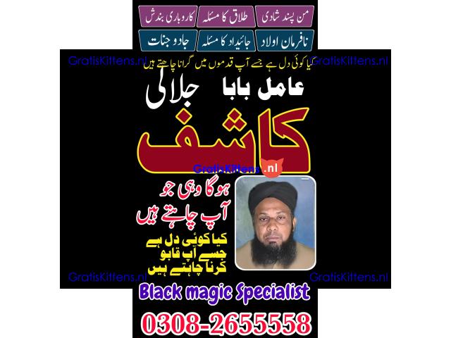 amil baba in pakistan | online istikhara center | amil baba in italy | love marrige expert