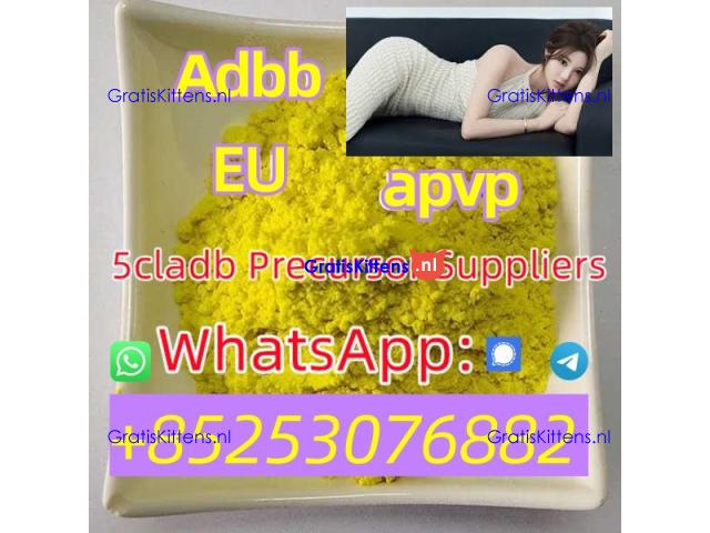 Good price 5CL-ADB 4cladba 5f-mdma 2cladb 4cl-adb 2f-dck apvp appp 3mmc