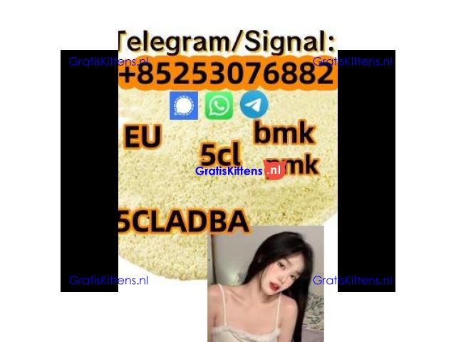 Good price 5CL-ADB 4cladba 5f-mdma 2cladb 4cl-adb 2f-dck apvp appp 3mmc