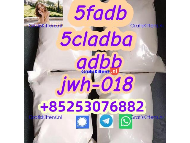 Good price 5CL-ADB 4cladba 5f-mdma 2cladb 4cl-adb 2f-dck apvp appp 3mmc