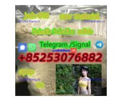 competitive prices sgt151 5cl-ADB 6cladbb 4cladba 45fadba 5fadba 4cladb 2cl-adbb