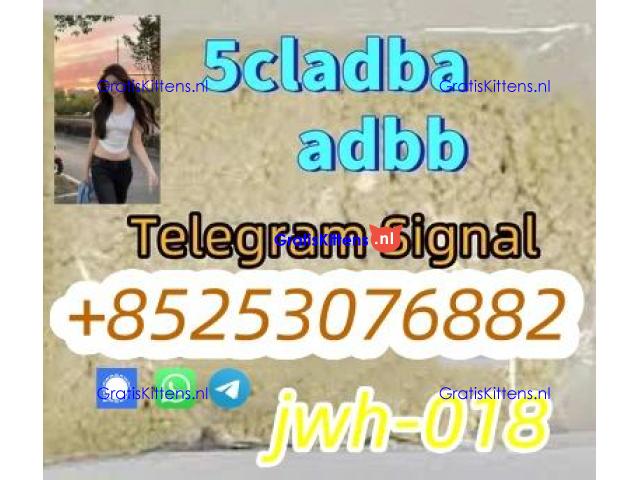 competitive prices sgt151 5cl-ADB 6cladbb 4cladba 45fadba 5fadba 4cladb 2cl-adbb