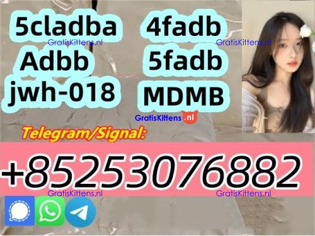 competitive prices sgt151 5cl-ADB 6cladbb 4cladba 45fadba 5fadba 4cladb 2cl-adbb
