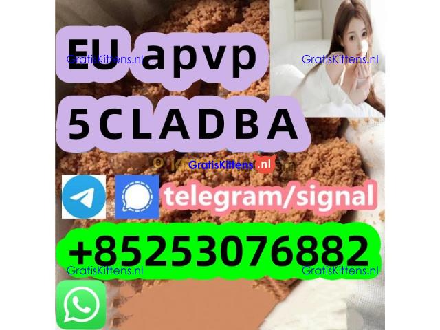 competitive prices sgt151 5cl-ADB 6cladbb 4cladba 45fadba 5fadba 4cladb 2cl-adbb