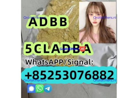 High purity 5CL-adb ADB 6cladb 4CLADB 5cladba 6cladbb 2clmdma 4fadba 5CL-ADB