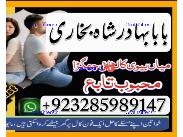 Amil Baba Online Istkhara | Uk ,UAE , USA | Astrologer | Love Marriage