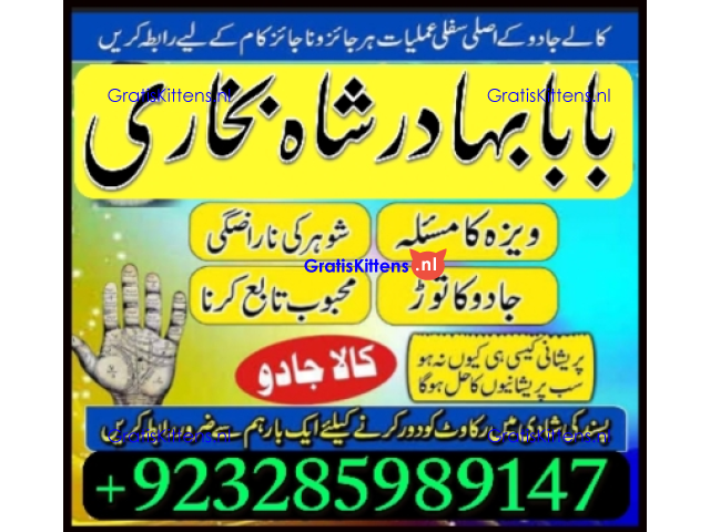 Amil Baba Online Istkhara | Uk ,UAE , USA | Astrologer | Love Marriage