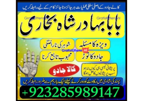 Amil Baba Online Istkhara | Uk ,UAE , USA | Astrologer | Love Marriage
