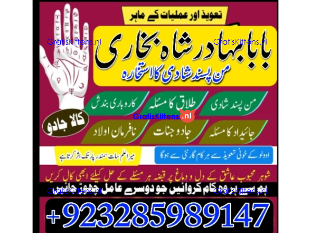 Amil Baba Online Istkhara | Uk ,UAE , USA | Astrologer | Love Marriage
