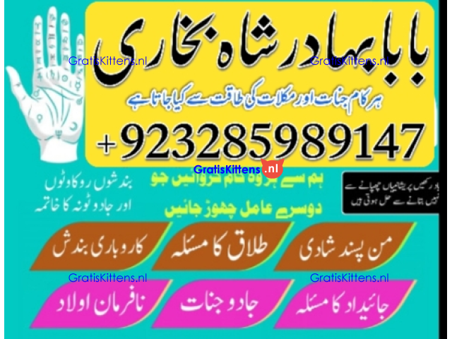 Amil Baba Online Istkhara | Uk ,UAE , USA | Astrologer | Love Marriage