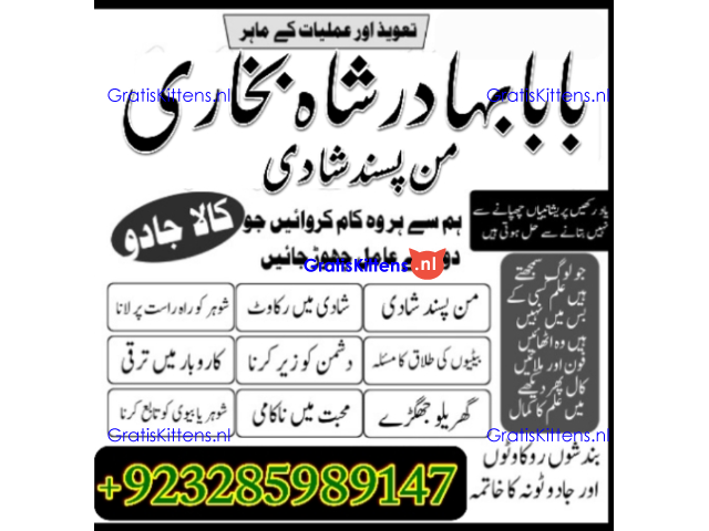 Amil Baba Online Istkhara | Uk ,UAE , USA | Astrologer | Love Marriage