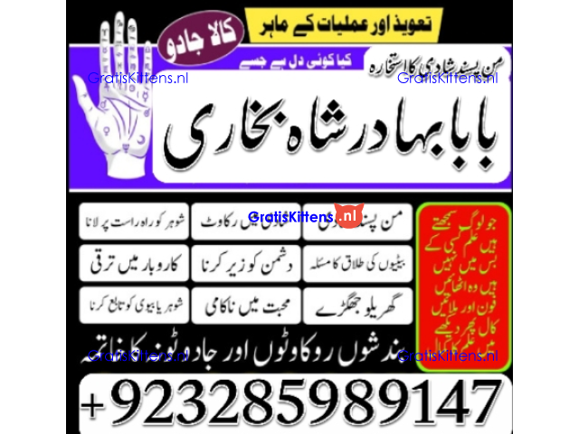 Amil Baba Online Istkhara | Uk ,UAE , USA | Astrologer | Love Marriage