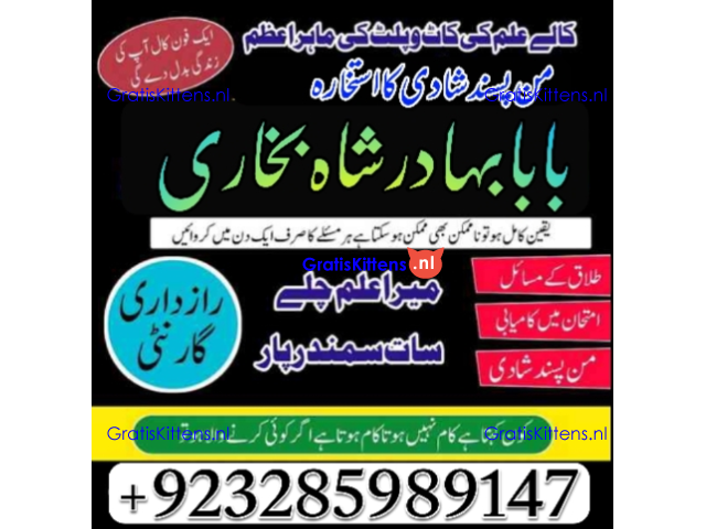 Amil Baba Online Istkhara | Uk ,UAE , USA | Astrologer | Love Marriage