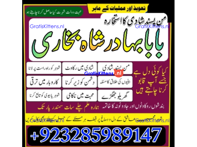 Amil Baba Online Istkhara | Uk ,UAE , USA | Astrologer | Love Marriage