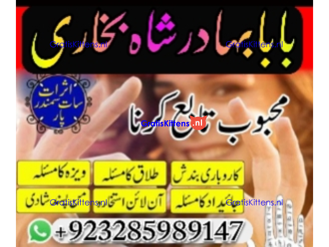 Amil Baba Online Istkhara | Uk ,UAE , USA | Astrologer | Love Marriage