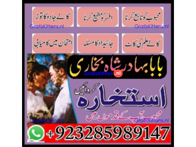 Amil Baba Online Istkhara | Uk ,UAE , USA | Astrologer | Love Marriage