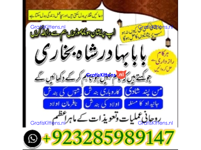Amil Baba Online Istkhara | Uk ,UAE , USA | Astrologer | Love Marriage